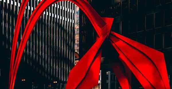 外国语单招大数据的行业文章