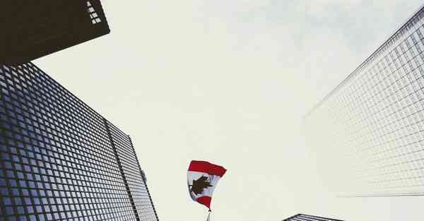 大数据监管的作用（监管大数据应用）