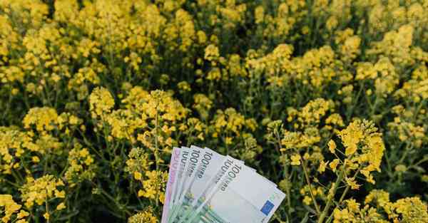 大数据影视软件