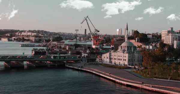 智能机器人领取收益，智能机器人赚钱的软件排行榜