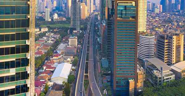 外国语单招大数据的行业文章