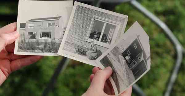 大数据部际协调