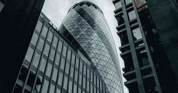 外国语单招大数据的行业文章