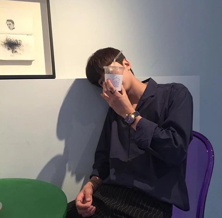 花叶莲娜