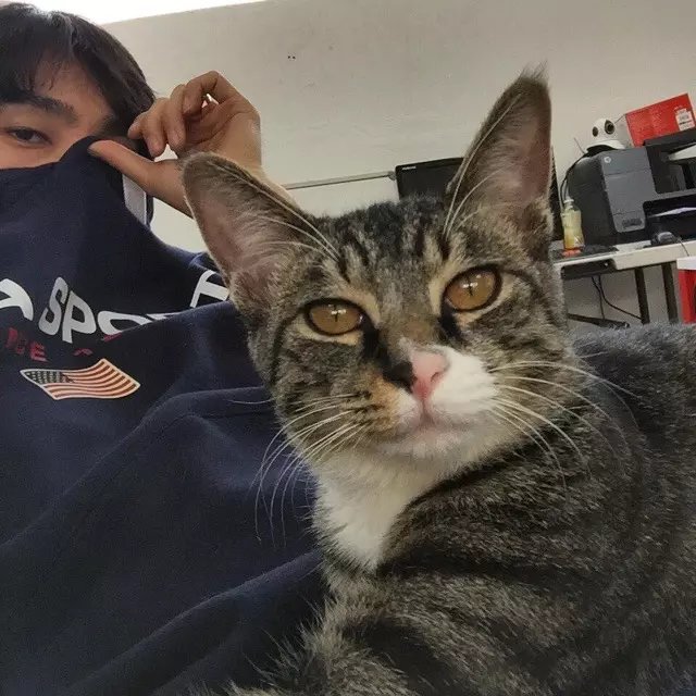 皇甫烟阅瑗