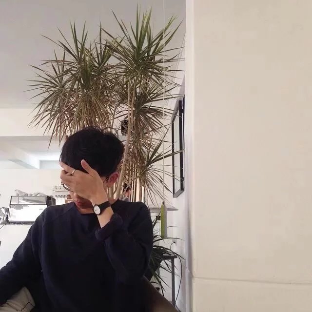 东良武紫