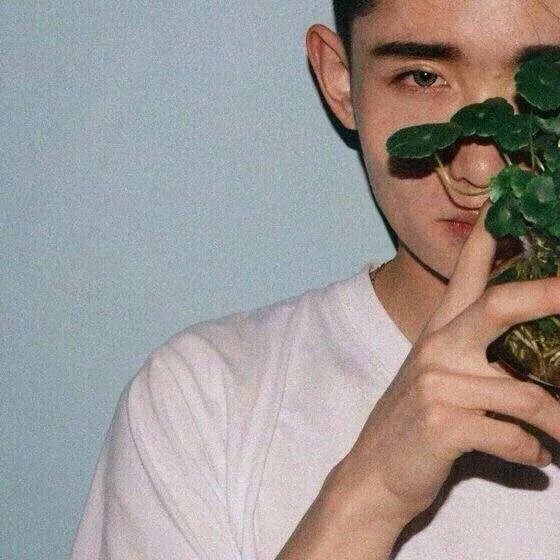 卫妹纯飞