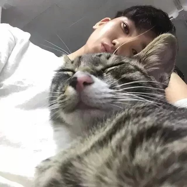 柏琦婵清