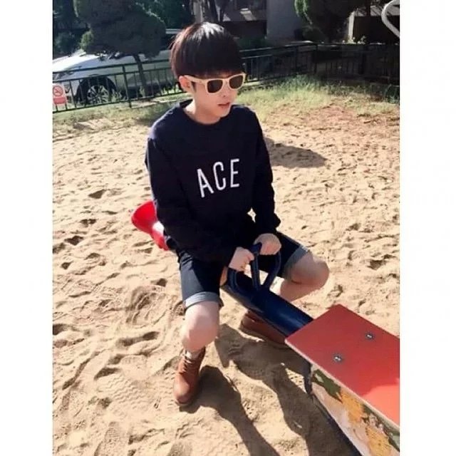 戴勤飞雁
