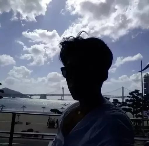 丁萱洋枫