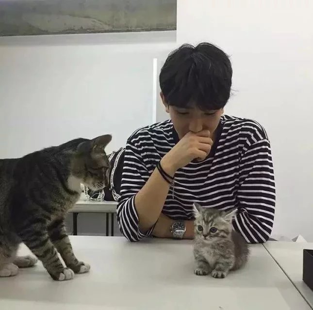 严琳春光